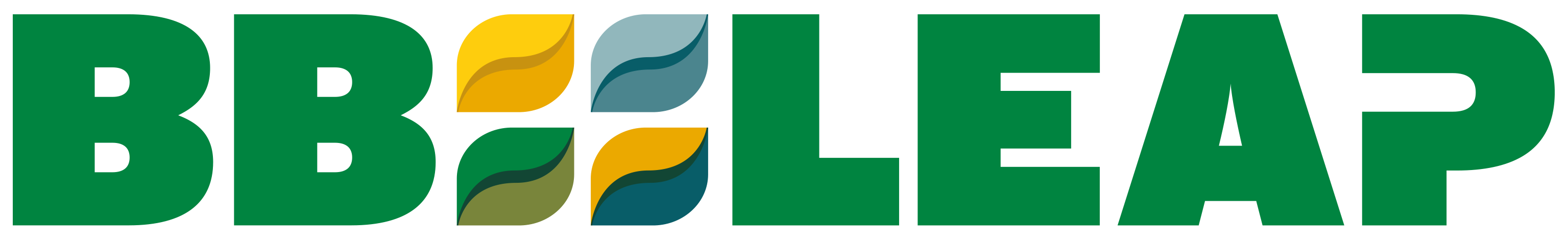 Logo-BBLeap-RGB-fc-3